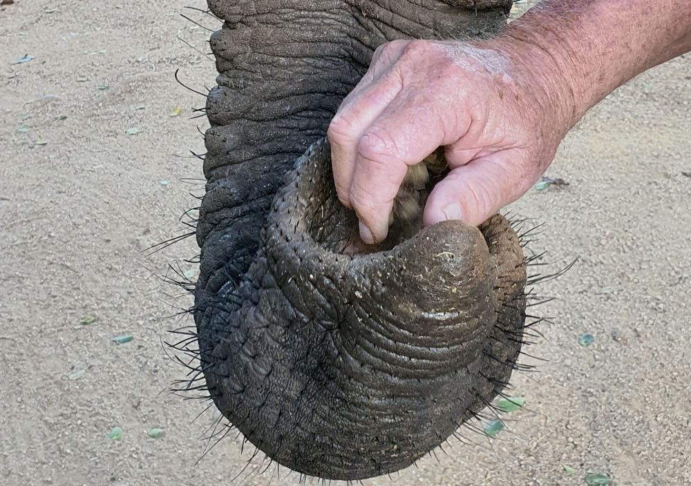 Feeding - Image 2