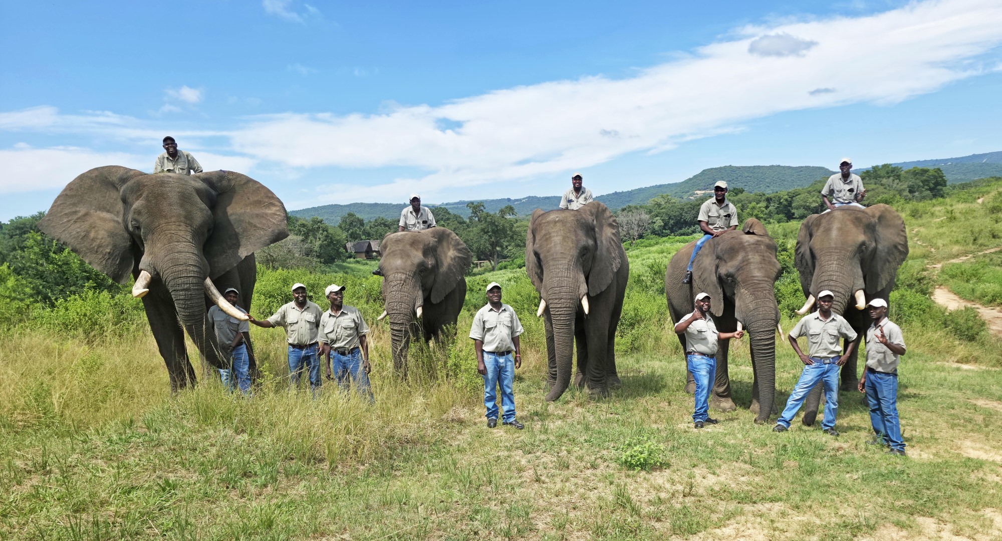 Elephant Whispers Team