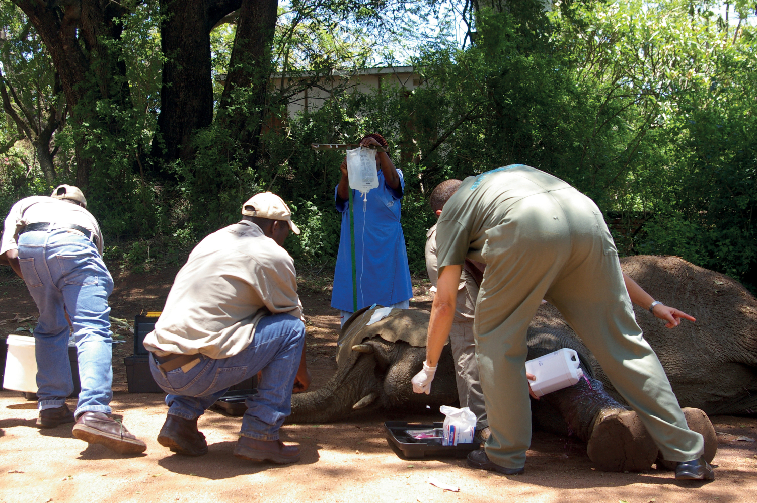 Care team - Image 2