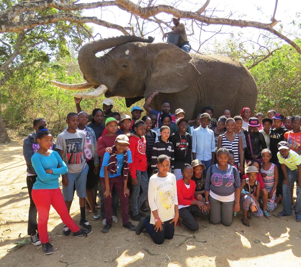 School children learning about elephants